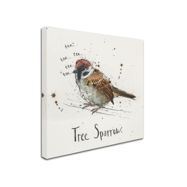 Michelle Campbell 'Tree Sparrow' Canvas Art,14x14